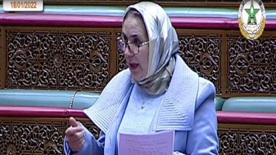 لبنى علوي تنتقد برنامج ” أوراش” وتدعو إلى وضع معايير واضحة لاختيار المستفيدين منه