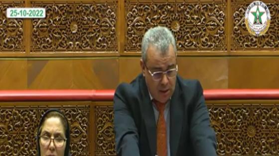 السطي: ارتفاع تكلفة الإنترنت وضعف تغطية الشبكة في عدة مناطق يحدان من ولوجية الخدمات الرقمية