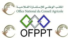 نقابة الفلاحة تتوعد مدير المكتب الوطني للاستشارة الفلاحية بالمساءلة الدستورية