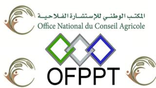 نقابة الفلاحة تتوعد مدير المكتب الوطني للاستشارة الفلاحية بالمساءلة الدستورية