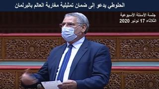 الحلوطي يدعو إلى ضمان تمثيلية مغاربة العالم بالبرلمان