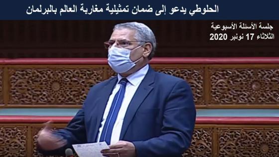 الحلوطي يدعو إلى ضمان تمثيلية مغاربة العالم بالبرلمان