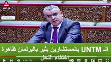 الـuntm بالمستشارين يثير بالبرلمان ظاهرة اختفاء النحل