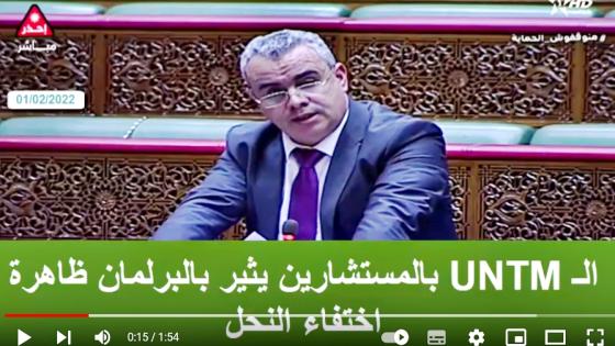 الـuntm بالمستشارين يثير بالبرلمان ظاهرة اختفاء النحل