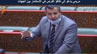 مريمي يدعو إلى تكافؤ الفرص في الاستثمار بين الجهات