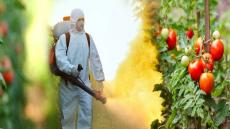 الـUNTM بالمستشارين يسائل وزير الفلاحة بخصوص مراقبة استعمال المبيدات الحشرية داخل الضيعات الفلاحية