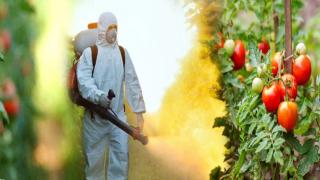 الـUNTM بالمستشارين يسائل وزير الفلاحة  بخصوص مراقبة استعمال المبيدات الحشرية داخل الضيعات الفلاحية