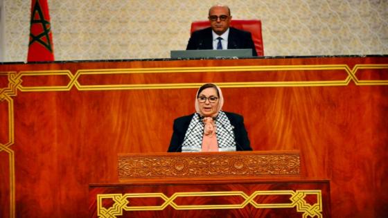 علوي لأخنوش: دعمتم المقاولات الكبيرة على حساب الصغيرة والمتوسطة