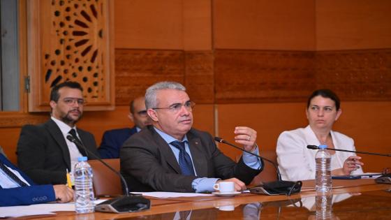 السطي: نجاح مشروع القانون المتعلق بالتعيين في المناصب العليا يتطلب مساطر تعيين أكثر شفافية وتنافسية