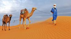 مريمي وميصرة يسائلان وزير السياحة بخصوص دعم مرشدي السياحة المدارية