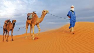 مريمي وميصرة يسائلان وزير السياحة بخصوص دعم مرشدي السياحة المدارية