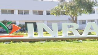 التنسيقية الوطنية للمعهد الوطني للبحث الزراعي تهنئ شغيلته على نجاح الحوار الاجتماعي مع مدير المؤسسة وتعتبره انطلاقة جديدة لترسيخ الثقة والتأسيس لشراكة حقيقية بين الطرفين