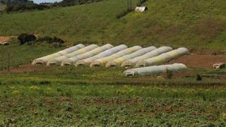 المكتب المحلي لنقابة شغيلة المكتب الجهوي للاستثمار الفلاحي للوكوس يستنكر الحجر على جمعية النادي