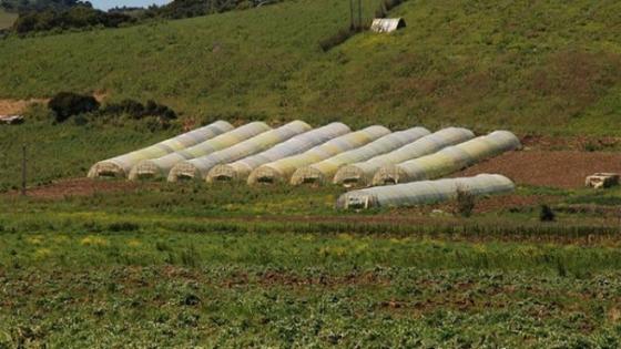 المكتب المحلي لنقابة شغيلة المكتب الجهوي للاستثمار الفلاحي للوكوس يستنكر الحجر على جمعية النادي