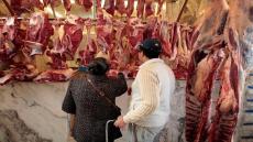 السطي يسائل وزيرة الاقتصاد حول جدوى إعفاءات استيراد الماشية بعد استمرار غلاء اللحوم