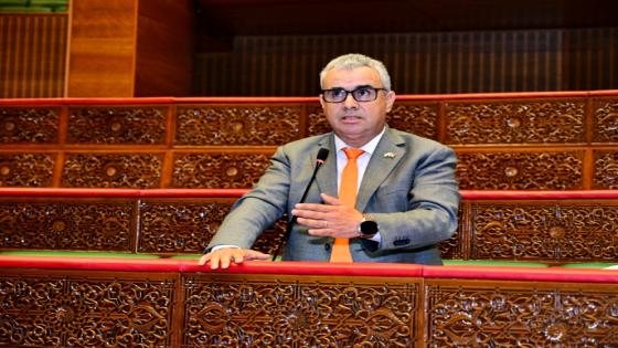 السطي يطالب برفع مدة صلاحية جواز السفر إلى عشر سنوات