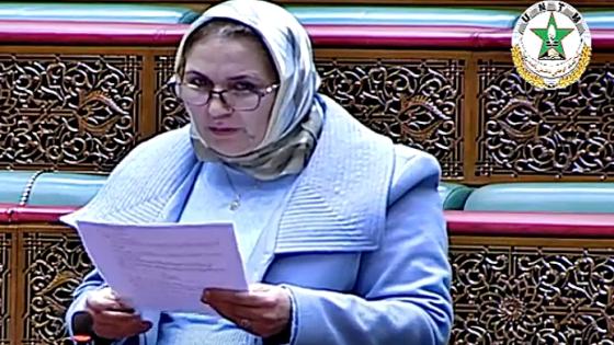 لبنى علوي: برنامج “أوراش”، الذي أطلقته الحكومة للتشغيل يتناقض مع الوعود الانتخابية للأحزاب المشكلة للتحالف الحكومي