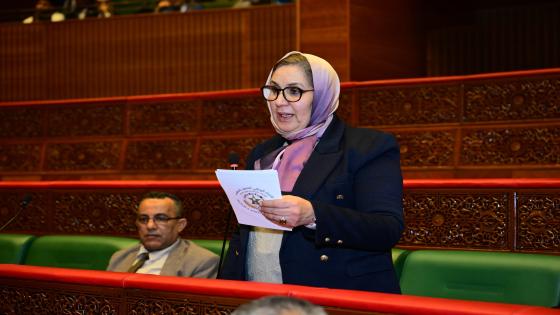 لبنى علوي تدعو إلى تقليص الفوارق المجالية والاجتماعية عبر مقاربة مندمجة