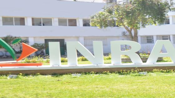 التنسيقية الوطنية للمعهد الوطني للبحث الزراعي التابعة للجامعة المغربية للفلاحة ترفض المذكرة التي أصدرتها الإدارة