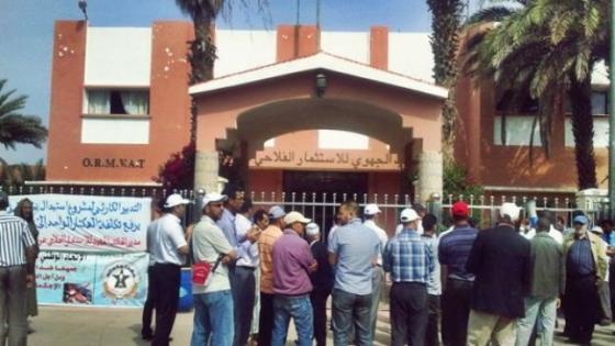 الـUntm بالمكتب الجهوي للاستثمار الفلاحي لتادلة يتضامن مع رئيس المركز الفلاحي 335 ضحية استغلال النفوذ